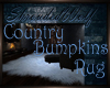 ~Country Bumpkin~ Rug