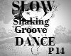 E* SLOW Shaking Groove