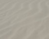 Sand Floor