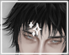 ✦ Noctis