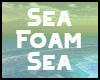Sea Foam Sea