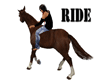 HORSE RIDE KISS WALK