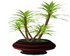Deco Plant Red blk pot