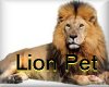 [kD] Lion animated Pet