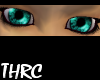 THRC Cyan Eyes