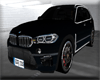 FW-  BMW X7
