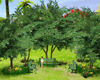 Romantic Garden/Tree/Cha
