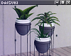 ♥ trio plant