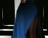 S. 23 Skirt OmbreBlk/Blu