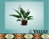 V: Wicker Lilly Plant