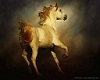 Spirit Horse Rave Light3