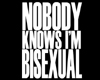 Nobody Knows - Bisexual