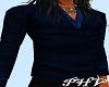 PHV Blue Sweater (M)