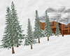 Winter Snowy Pines