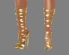 A16 Chic Gold Boots