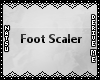 {3D} Foot Scaler