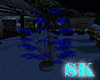 (SK) Blue Plant