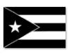 Puerto Rico b&w flag