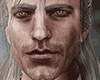 武 Geralt Skin (Asteri)
