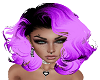 Seren Purple Mix