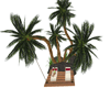 lil Palm fun