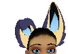 bluey custom ears
