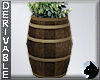 !Barrel Planter