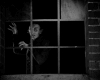 Nosferatu Window