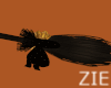 Witch Broom BLK + GLD