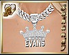 "S" EVANS SILVER NL HER