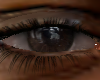ASTERI/ODELL EYES SMALL