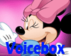 ran voice box