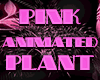 Pink Animated Plant