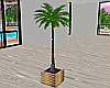 C⌘ Lights Potted Plant