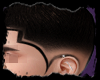 Corte do Jamal