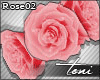 T190| DivalPink Roses 02