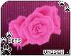 [Pets] Nia | wrist roses