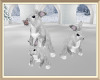 Frozen  Snow Bunnies