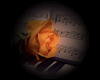 Sticker Rose and Piano