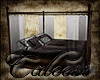 Stregare No Pose Bed2