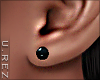 -U- Stud earrings blk