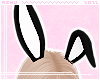 m. Bunny Ears Black