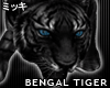 ! Dark Bengal Tiger II