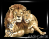Lion Family v2