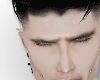 T. Kaiden Head