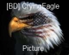 [BD] CryingEagle Picture