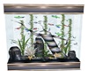 B* Fish Tank