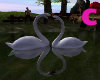 Dreamy swans/animated