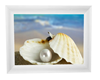 Pearl in sea shell 