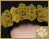 ~AM~ Ira Head Roses v1